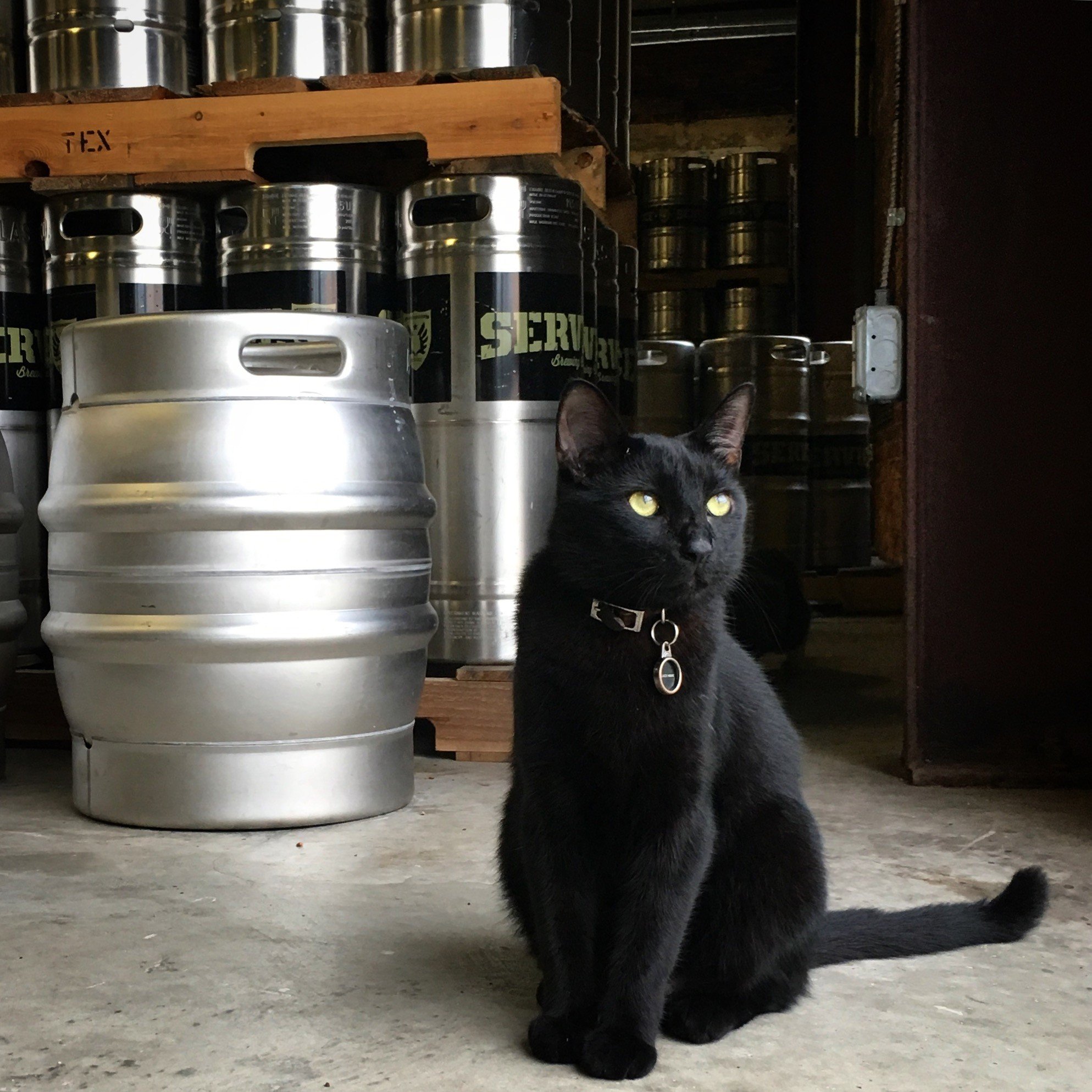 Service Brewing brewery from United States
