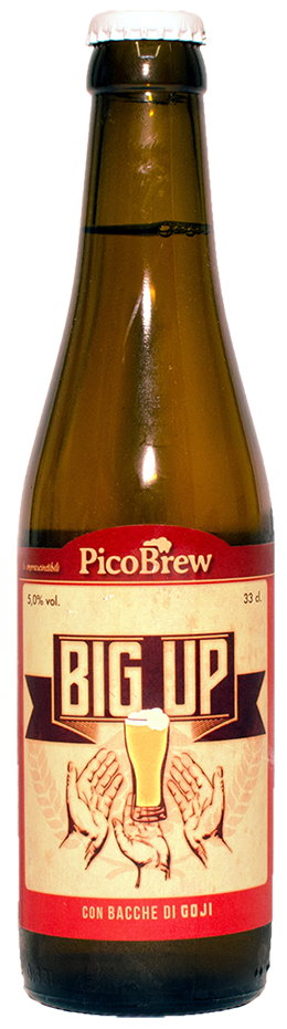 Produktbild von PicoBrew Big Up