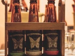 Cerveza Metamorphosis Brauerei aus Kolumbien