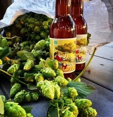 Brasserie des Alpilles Brauerei aus Frankreich