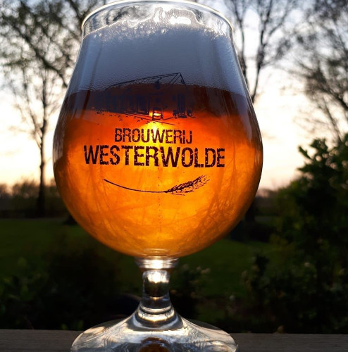 Logo von Brouwerij Westerwolde Brauerei