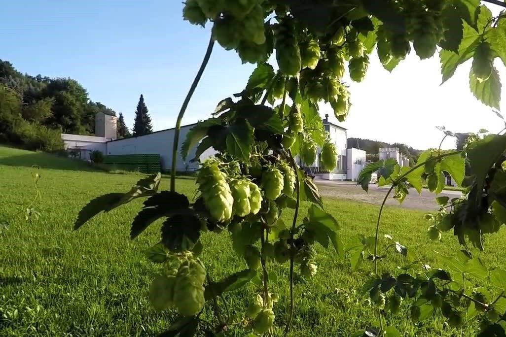 Hofmark Brauerei Brauerei aus Deutschland