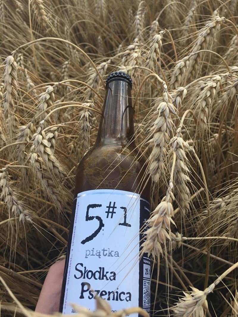 Alternatywa Browar Śląski Brauerei aus Polen