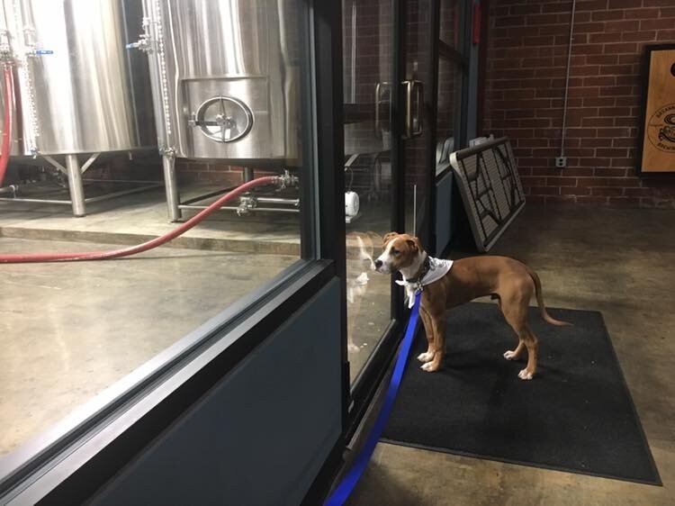 Savannah River Brewing brewery from United States