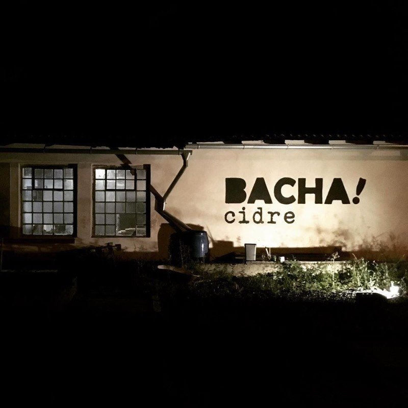 Bacha Cider and Most brewery from Czechia