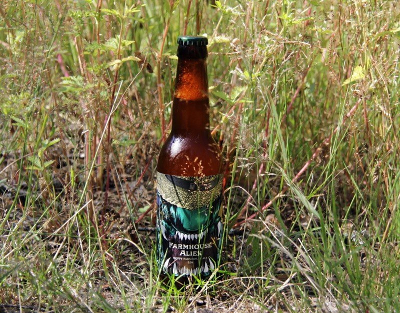 Panimoyhtiö Tuju Brauerei aus Finnland