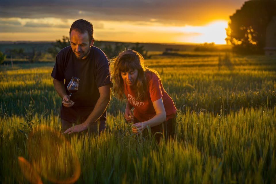 Lo Vilot Farm Brewery Brauerei aus Spanien