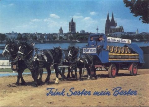 Sester Kölsch brewery from Germany