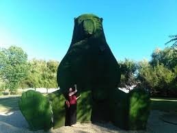 L'Orso Verde brewery from Italy