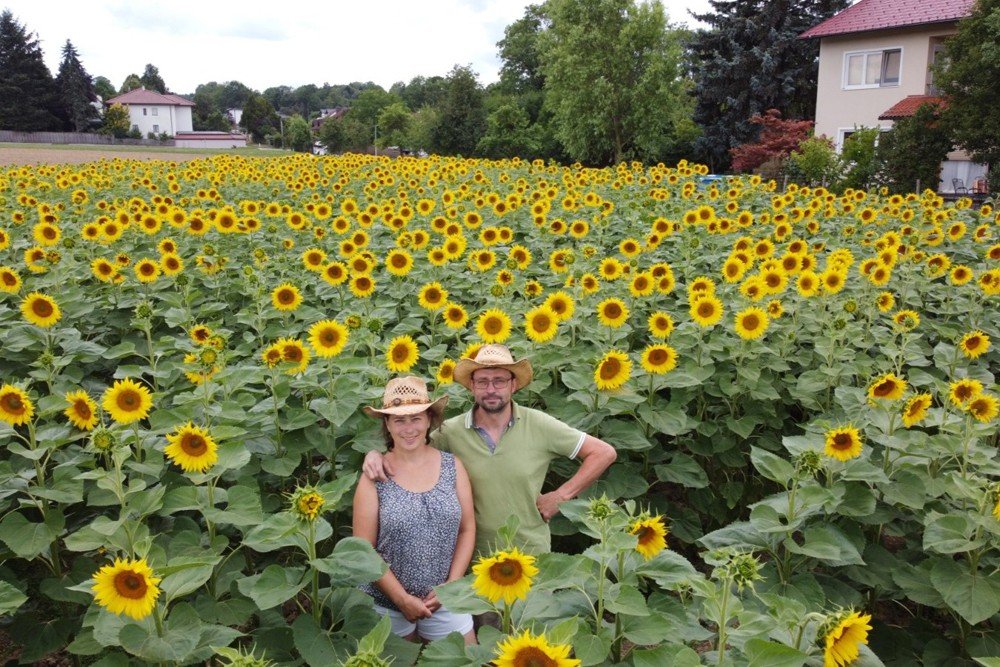 Sandberg Bräu Brauerei aus Österreich