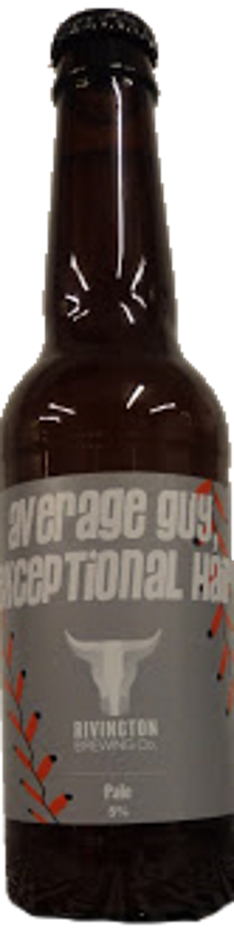 Produktbild von Rivington Brewing Average Guy, Exceptional Hair