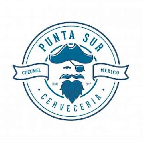 Logo von Cerverceria Punta Sur Brauerei