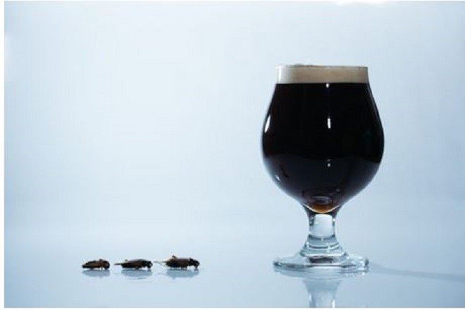 Tono Brewing Company brewery from Japan