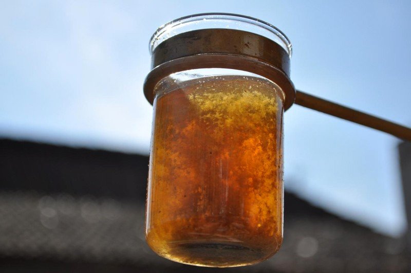 Bad Windsheimer Bürgerbräu Brauerei aus Deutschland