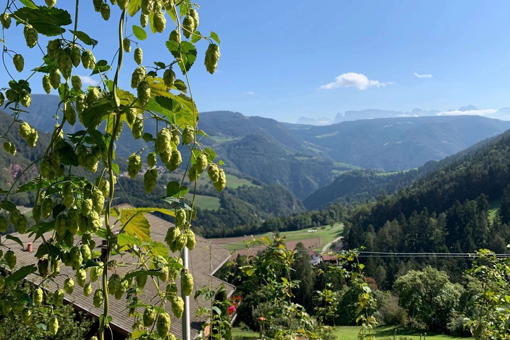 Guggenbräu Brauerei aus Italien