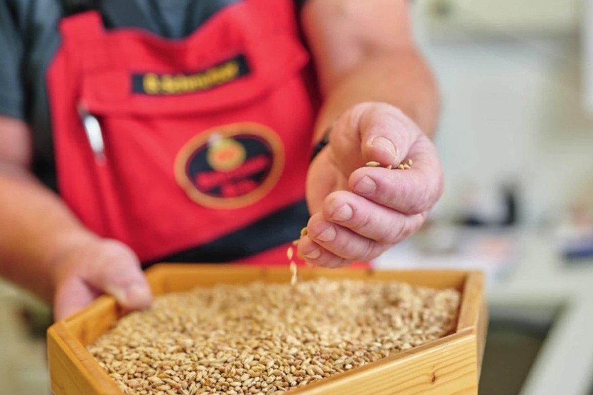 Brauerei Wolferstetter Brauerei aus Deutschland