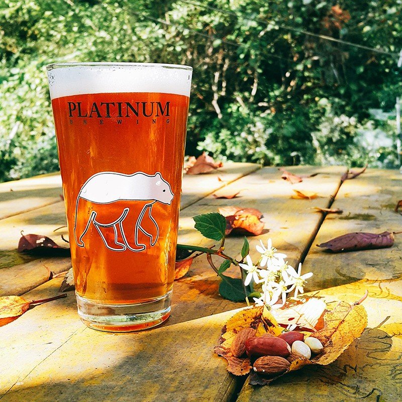 Platinum Craft Beer brewery from South Korea