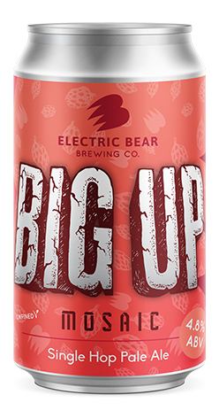 Produktbild von Electric Bear Big Up - Mosaic