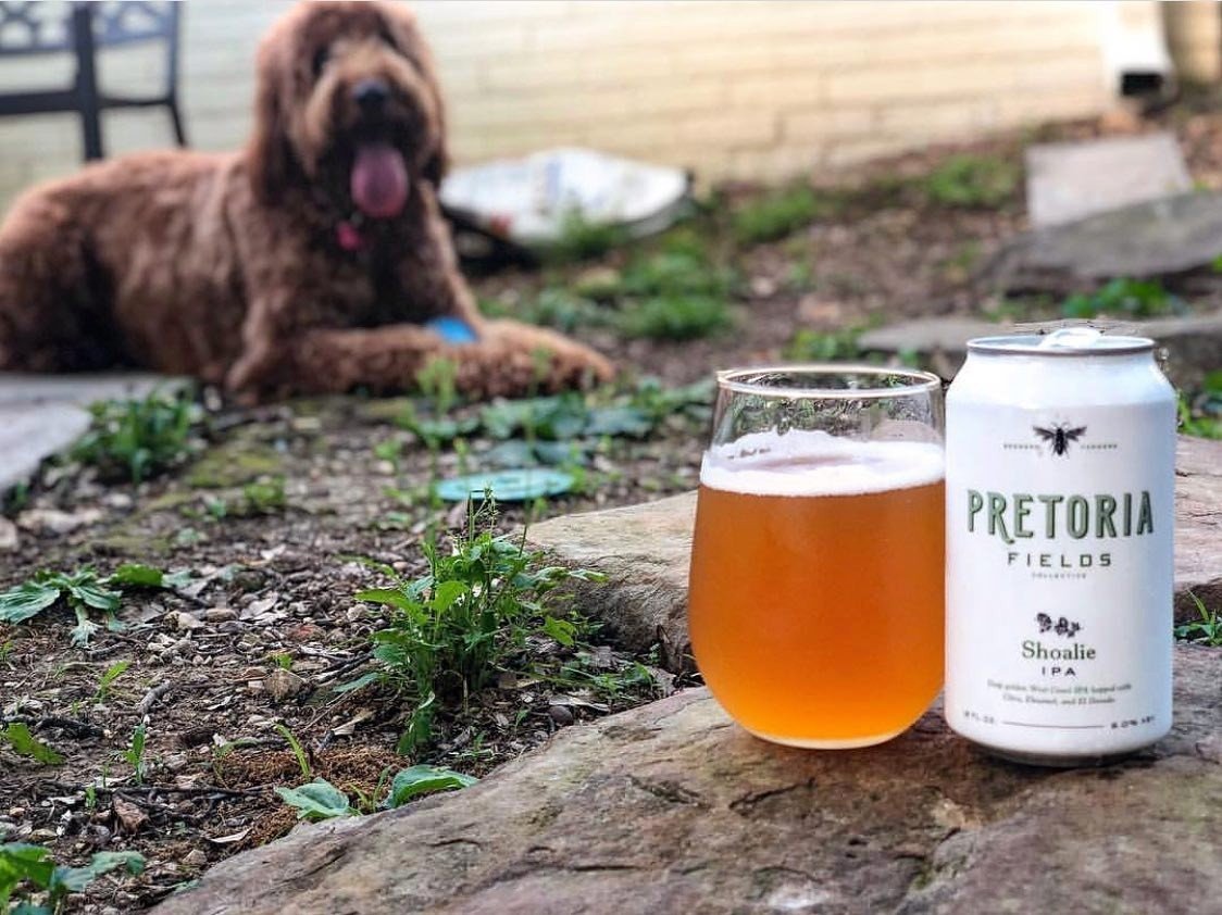 Pretoria Fields Collective brewery from United States
