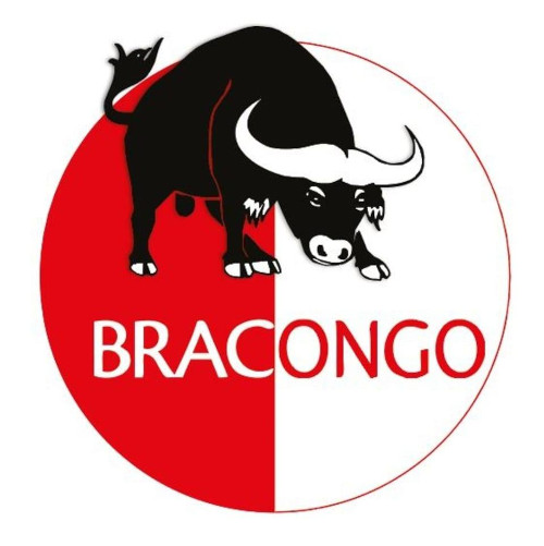 Logo von Bracongo Brauerei