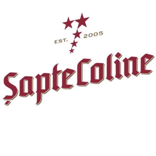Logo of Sapte Coline brewery