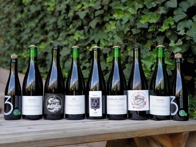 Antidoot - Wilde Fermenten brewery from Belgium
