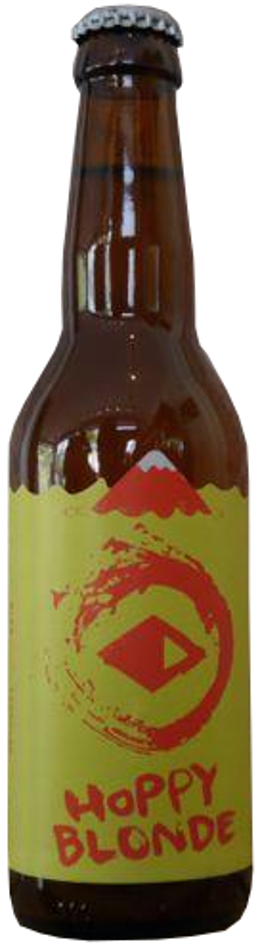 Product image of Sassy Blonde Ale