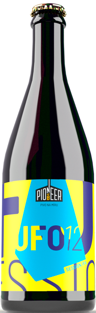 Produktbild von Pioneer Beer UFO 12 – Intergalactic Session IPA