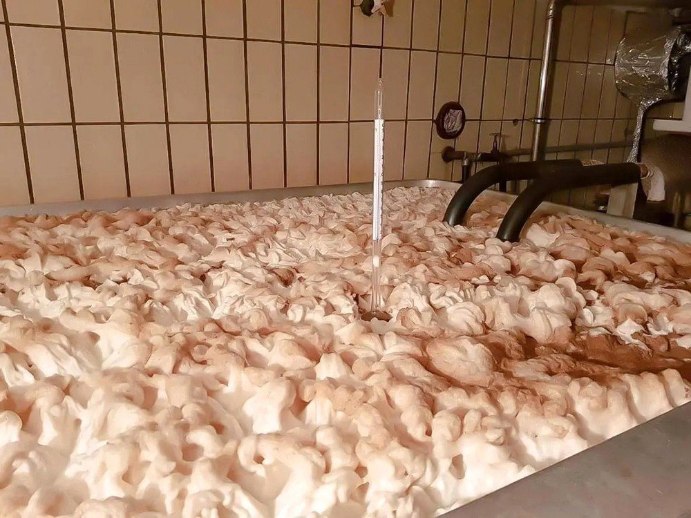 Brauerei Gasthof Höhn Brauerei aus Deutschland