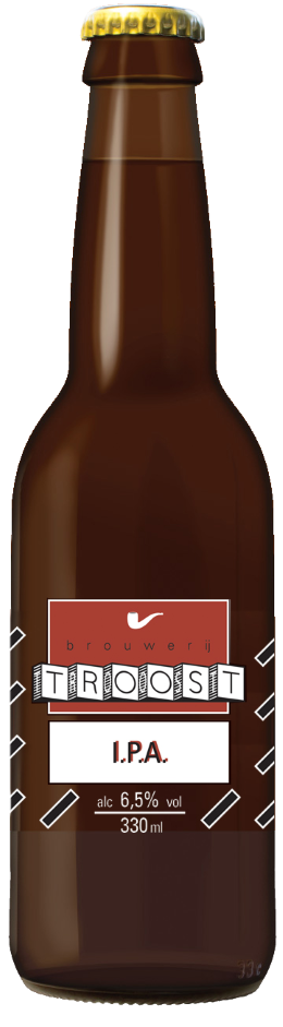 Produktbild von Brouwerij Troost - I.P.A.