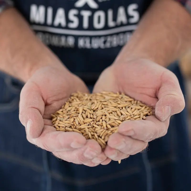 Browar Miastolas brewery from Poland
