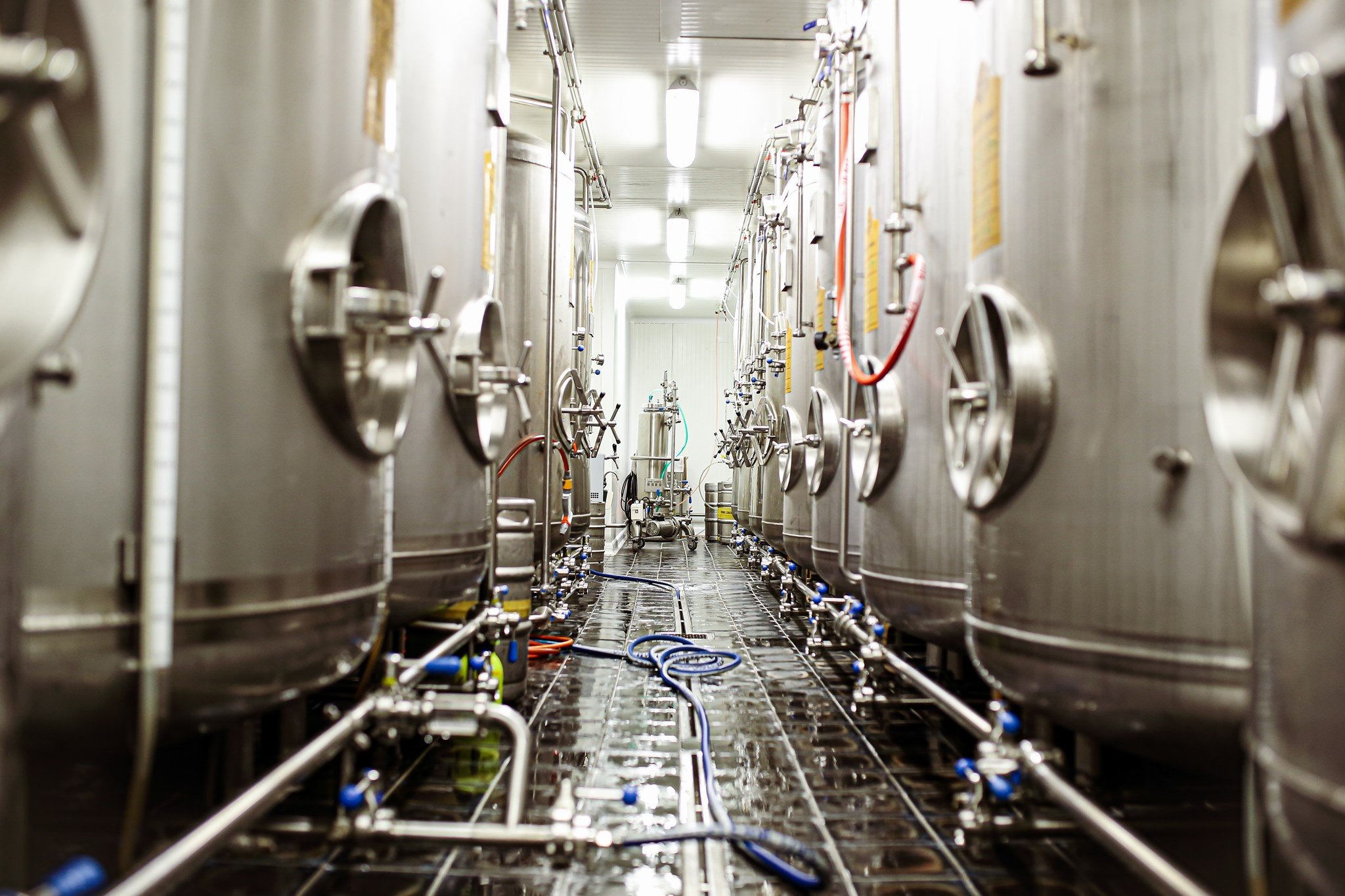 Pivovárek Morava brewery from Czechia
