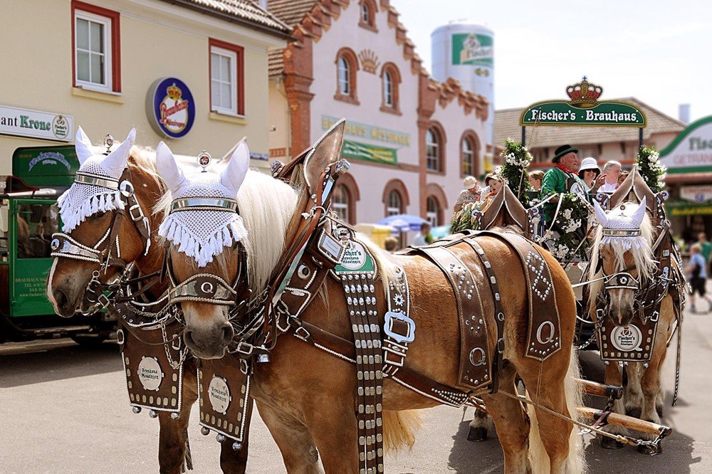 Fischer’s Brauhaus Mössingen Brauerei aus Deutschland