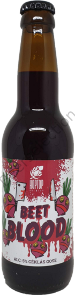 Product image of HopTop Brewery - Beet Blood