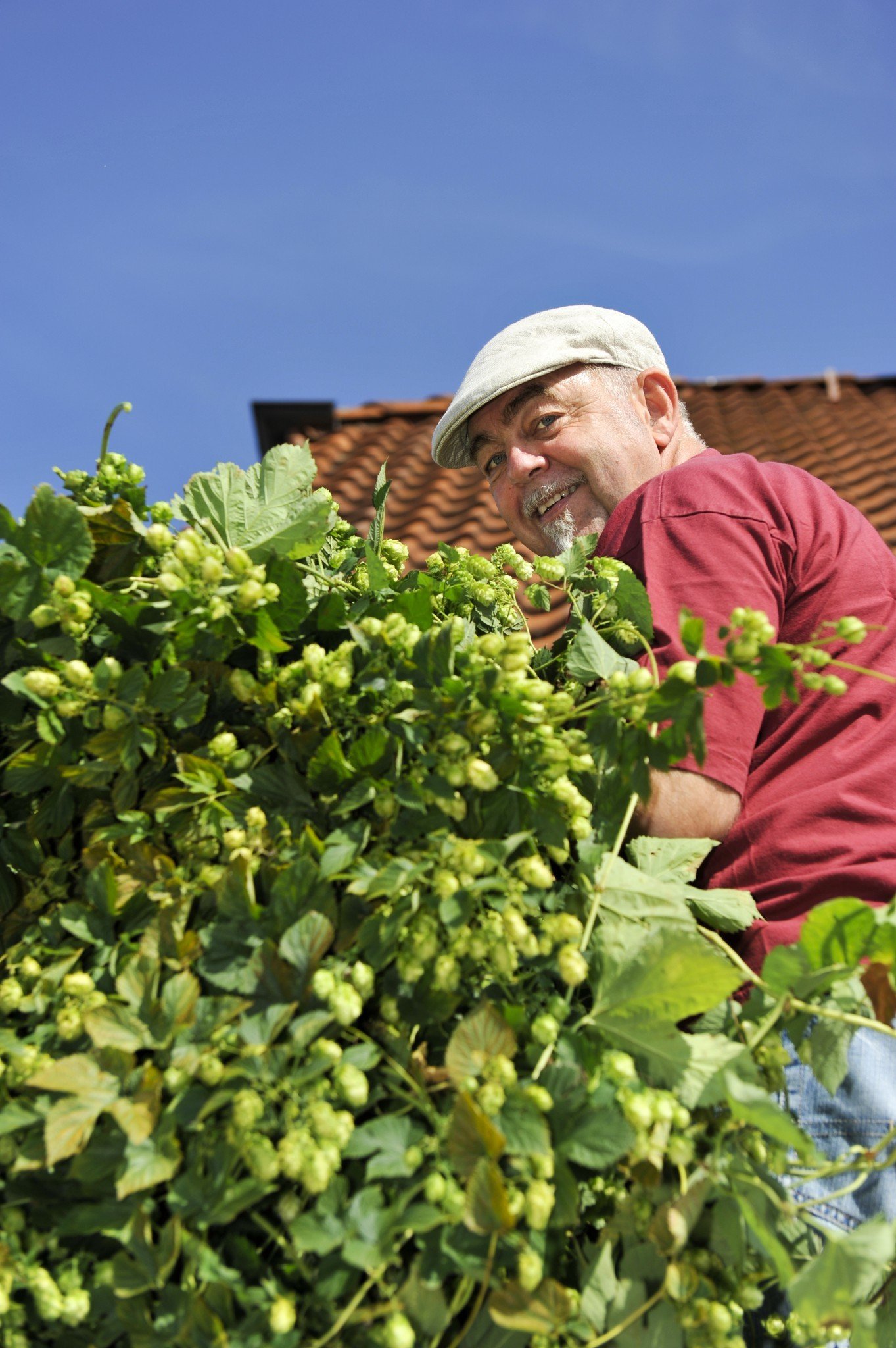 Hopferei Hertrich  Brauerei aus Deutschland