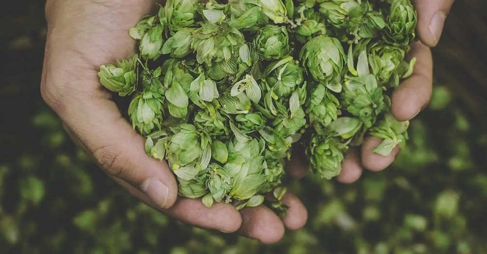 Cervezas 69 brewery from Spain
