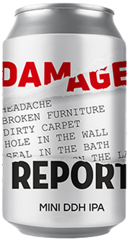 Produktbild von Lehe Damage Report