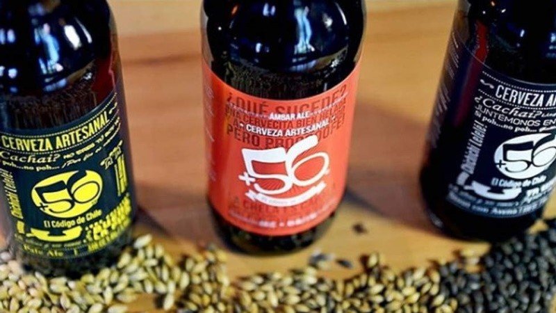 Cerveza +56 brewery from Chile