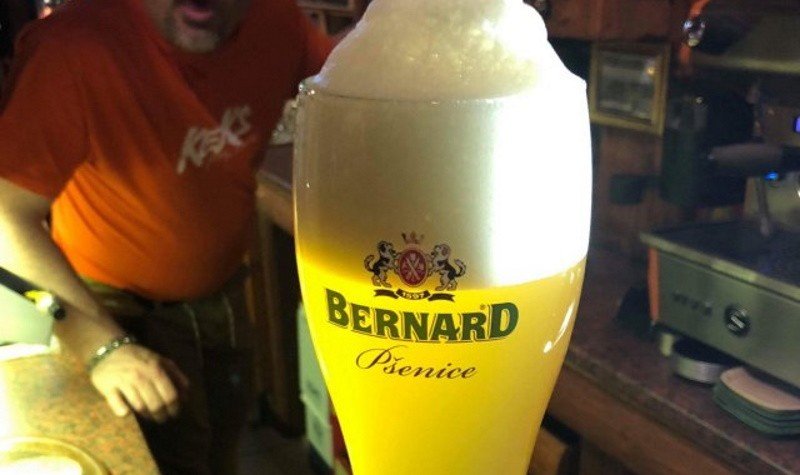 Bernard Family Brewery Brauerei aus Tschechien