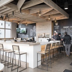 Young Lion Brauerei aus Vereinigte Staaten