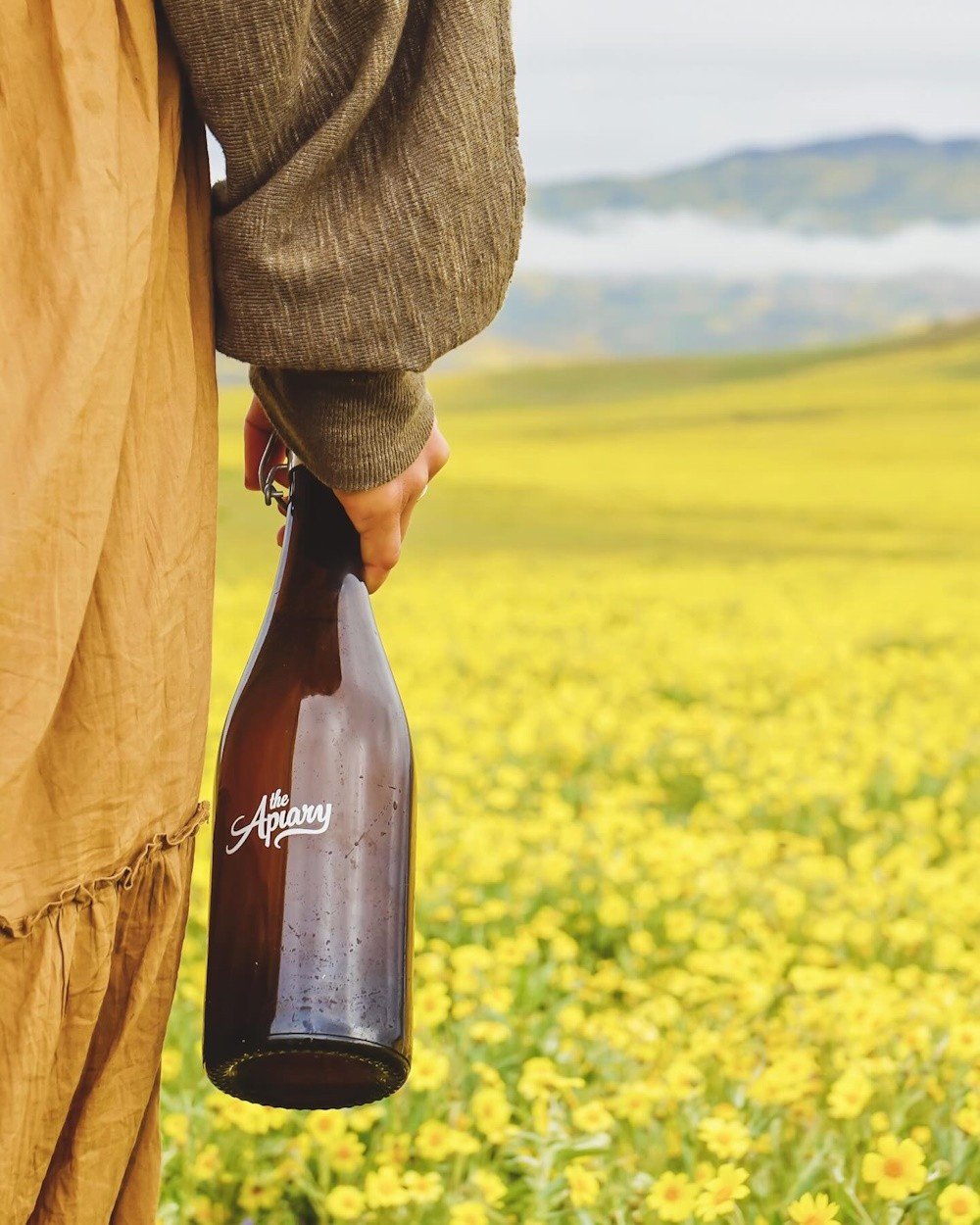 The Apiary Ciderworks and Meadery brewery from United States