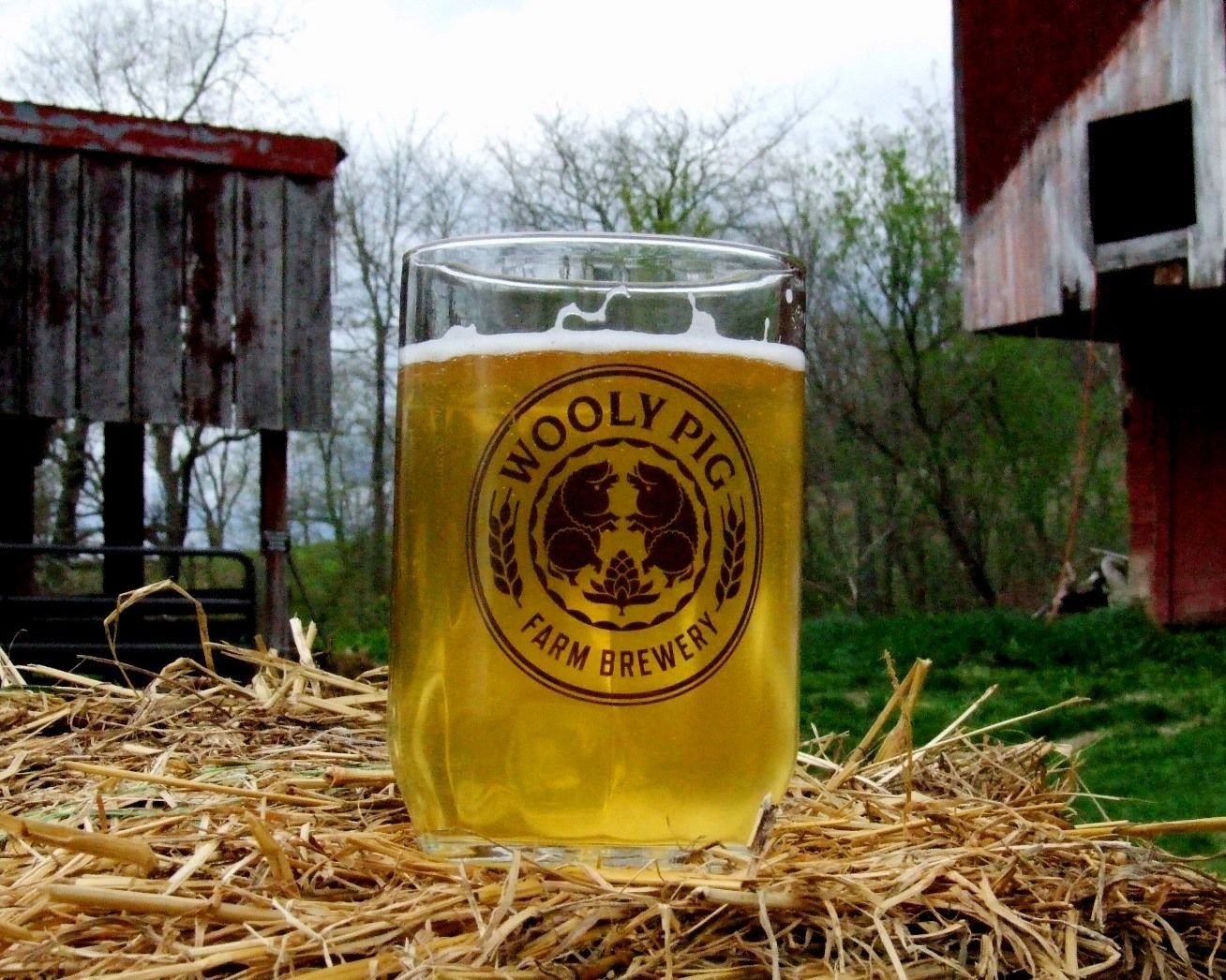 Wooly Pig Farm Brewery brewery from United States