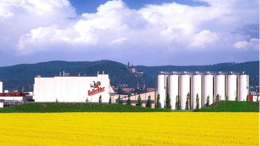 Hasseröder Brauerei Brauerei aus Deutschland