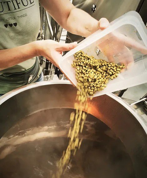 Ventopp brewery from France