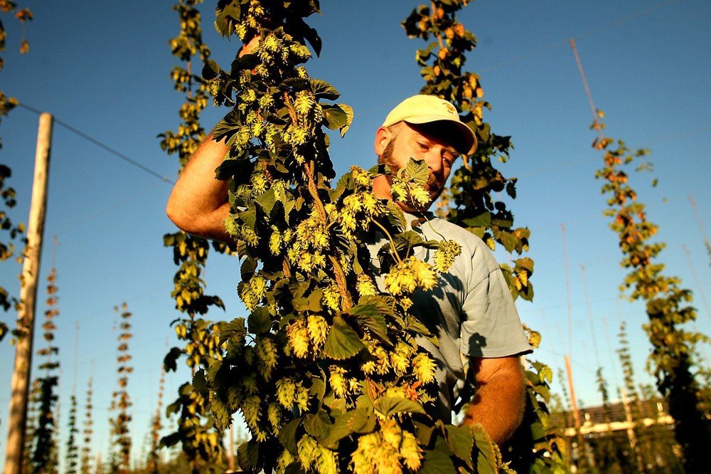 Sierra Nevada Brewing brewery from United States